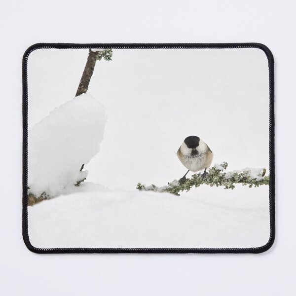 Artikelvorschau, Schneefelder. Weidenmeise entworfen und verkauft von Jouko Lehto Photography.