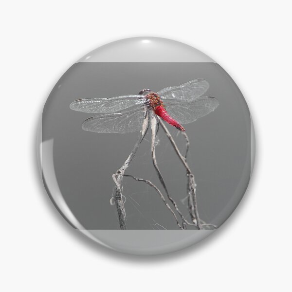 Artikelvorschau, Dragon Fly entworfen und verkauft von CarolM.