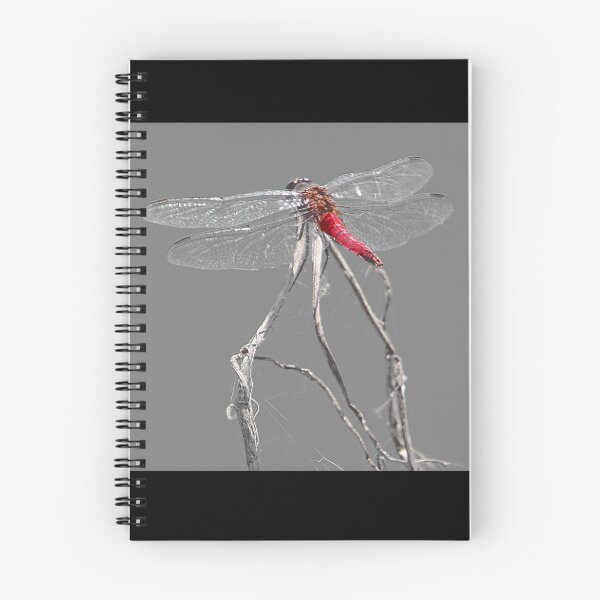 Item preview, Dragon Fly designed and sold by CarolM.