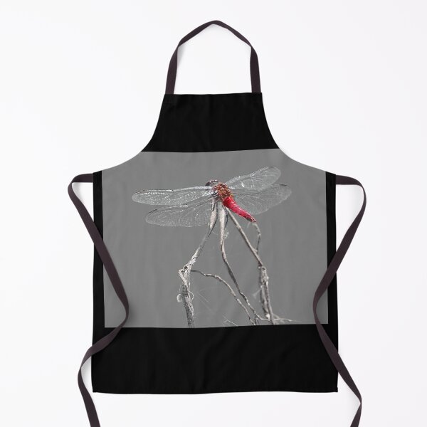 Item preview, Dragon Fly designed and sold by CarolM.