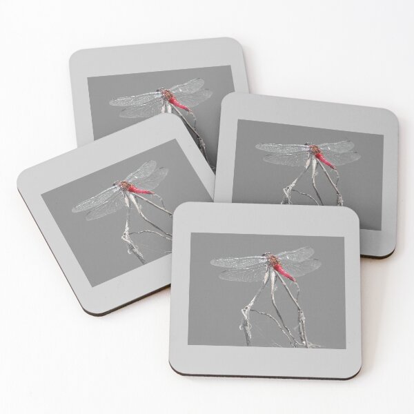 Item preview, Dragon Fly designed and sold by CarolM.