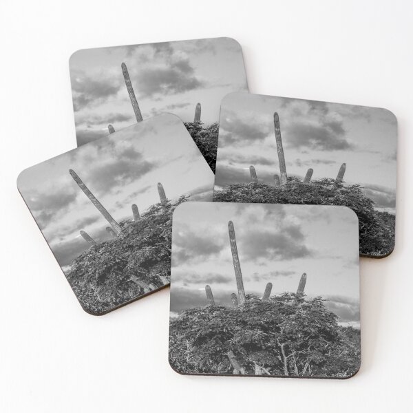 Item preview, inside the caatinga 1 designed and sold by felipequeiroz.
