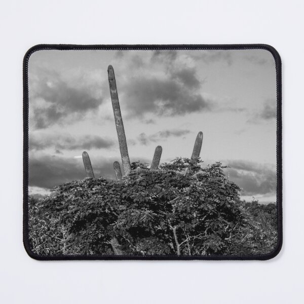 Item preview, inside the caatinga 1 designed and sold by felipequeiroz.
