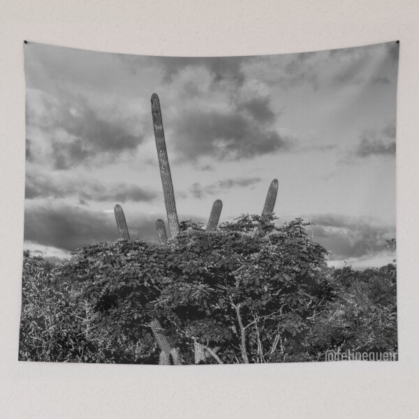 Item preview, inside the caatinga 1 designed and sold by felipequeiroz.