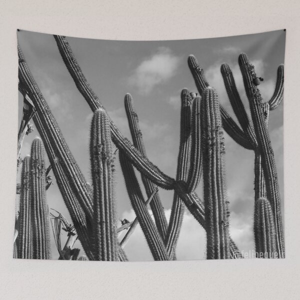 Item preview, inside the caatinga 2 designed and sold by felipequeiroz.