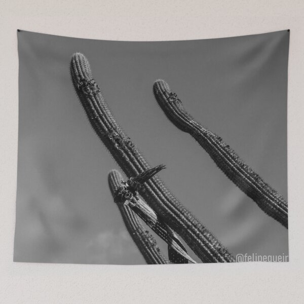 Item preview, inside the caatinga 3 designed and sold by felipequeiroz.