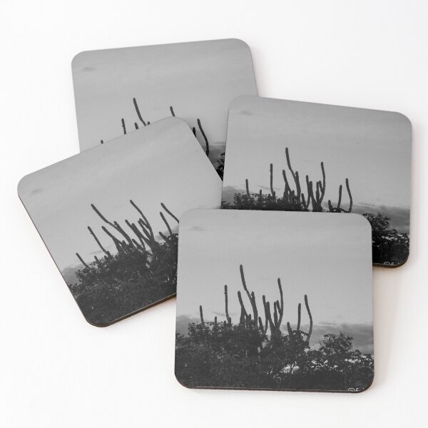 Item preview, inside the caatinga 4 designed and sold by felipequeiroz.