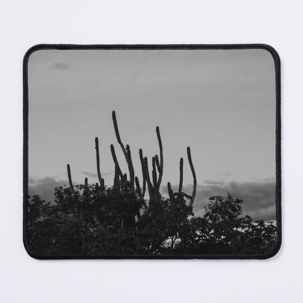 Item preview, inside the caatinga 4 designed and sold by felipequeiroz.