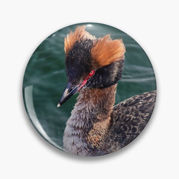 Item preview, Slavonian Grebe designed and sold by Tom McPherson Photography.
