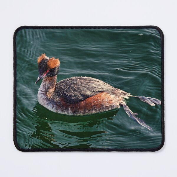 Item preview, Slavonian Grebe designed and sold by Tom McPherson Photography.