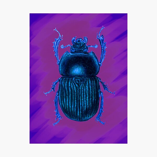 Item preview, beetle 2 designed and sold by paltanati.