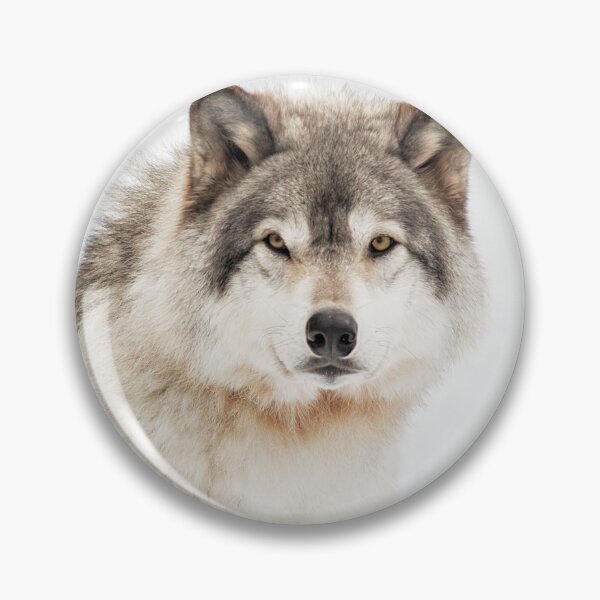 Item preview, Timber Wolf in Snow designed and sold by Yannik Hay.