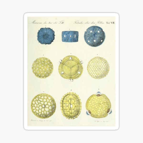 Item preview, Medieval Manuscript with Colorful Orbs and Handwritten Script designed and sold by Prezess.
