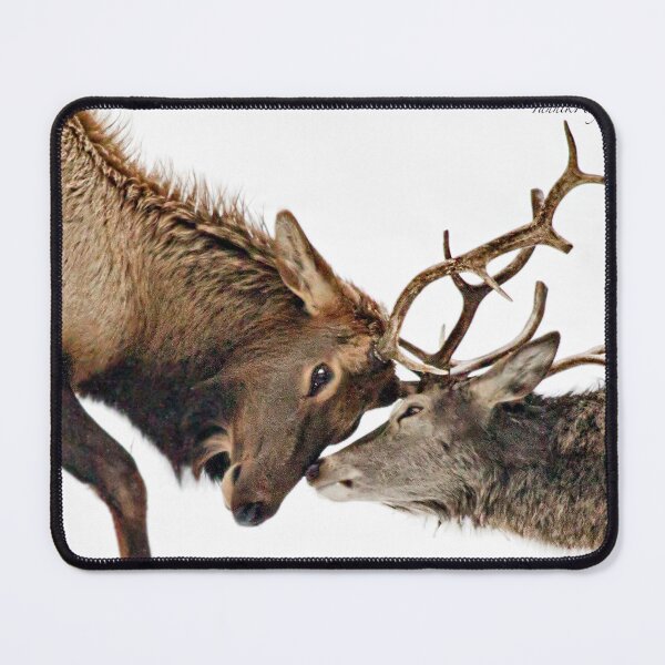 Item preview, The Rut - Wapiti designed and sold by Yannik Hay.