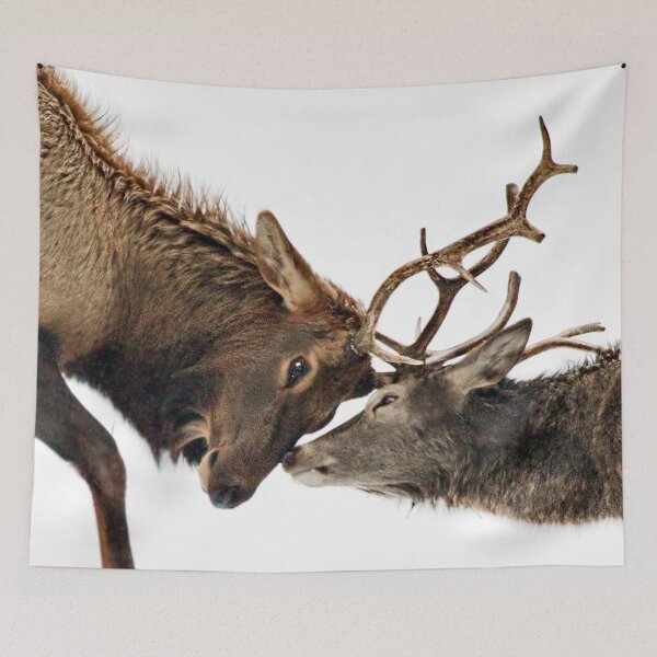 Item preview, The Rut - Wapiti designed and sold by Yannik Hay.