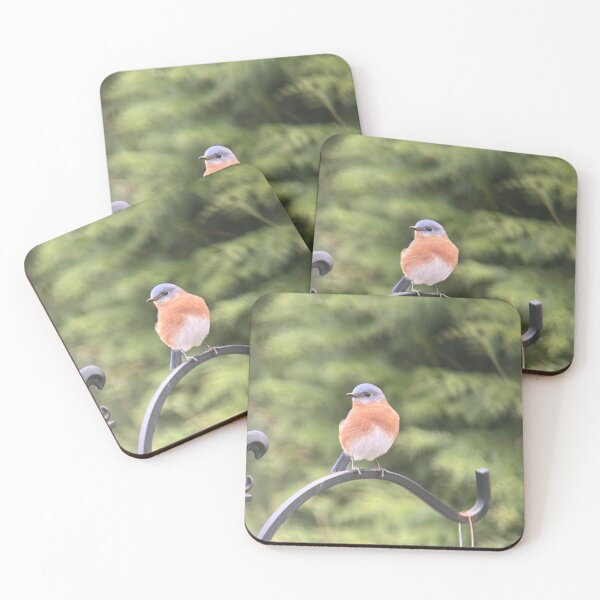 Item preview, Photogenic Eastern Bluebird designed and sold by Fawnadeer.