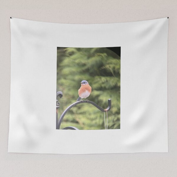 Item preview, Photogenic Eastern Bluebird designed and sold by Fawnadeer.