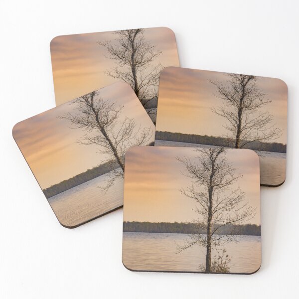 Item preview, Virginia beach lone tree designed and sold by liraneisenberg.
