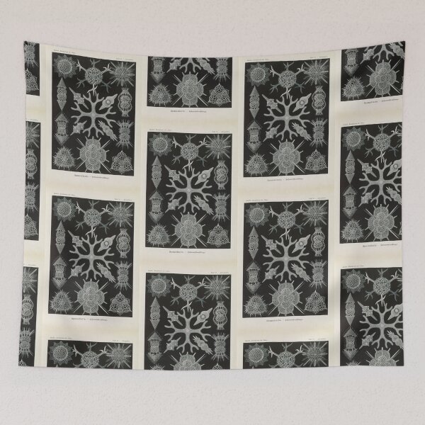 Item preview, Spumellaria Schaumstrahlinge  Ernst Haeckel designed and sold by TeeARTHY.