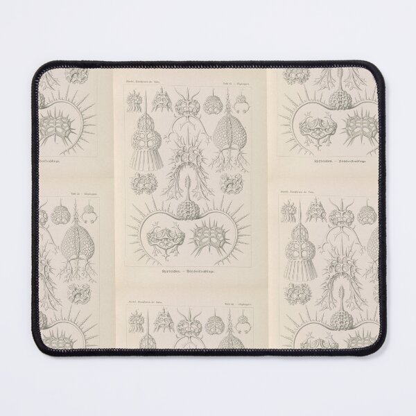 Item preview, Spyroidea Nükchenstrahlinge  Ernst Haeckel designed and sold by TeeARTHY.