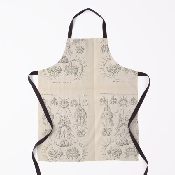 Item preview, Spyroidea Nükchenstrahlinge Ernst Haeckel designed and sold by TeeARTHY.