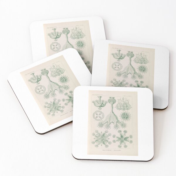 Item preview, Stauromedusae Becherquallen   Ernst Haeckel designed and sold by TeeARTHY.
