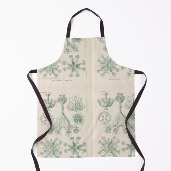 Item preview, Stauromedusae Becherquallen Ernst Haeckel designed and sold by TeeARTHY.