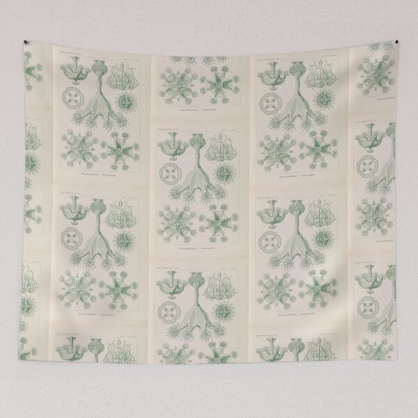 Item preview, Stauromedusae Becherquallen   Ernst Haeckel designed and sold by TeeARTHY.