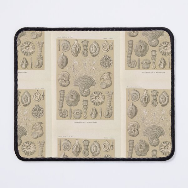 Item preview, Talamophora Kammerlinge (1904) Ernst Haeckel designed and sold by TeeARTHY.