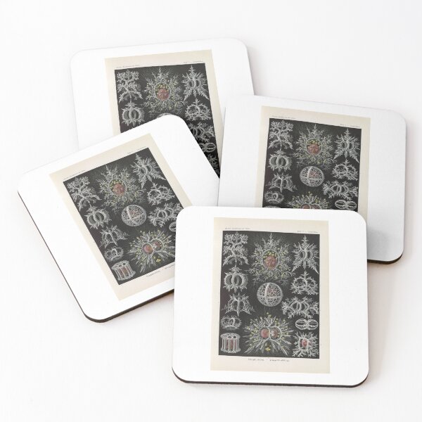 Item preview, Talamophora Kammerlinge (1904) Ernst Haeckel designed and sold by TeeARTHY.