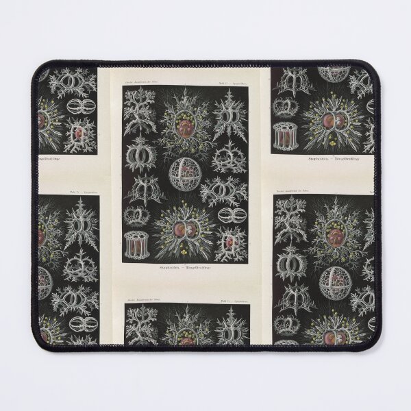 Item preview, Talamophora Kammerlinge (1904) Ernst Haeckel designed and sold by TeeARTHY.