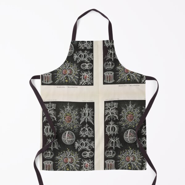 Item preview, Talamophora Kammerlinge (1904) Ernst Haeckel designed and sold by TeeARTHY.