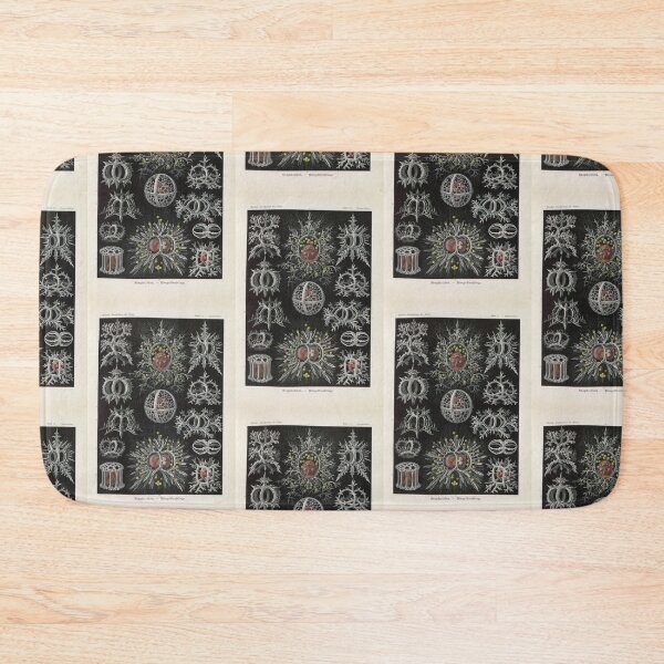 Item preview, Talamophora Kammerlinge (1904) Ernst Haeckel designed and sold by TeeARTHY.