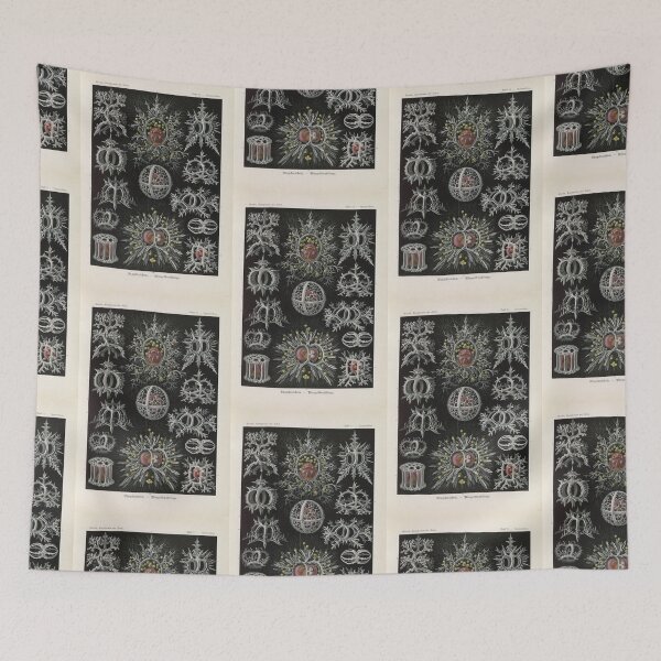 Item preview, Talamophora Kammerlinge (1904) Ernst Haeckel designed and sold by TeeARTHY.