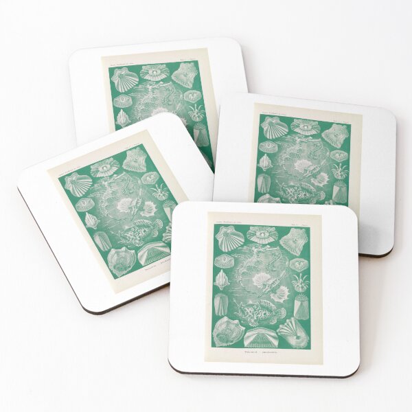 Item preview, Teleostei. Knochenfische    Ernst Haeckel designed and sold by TeeARTHY.