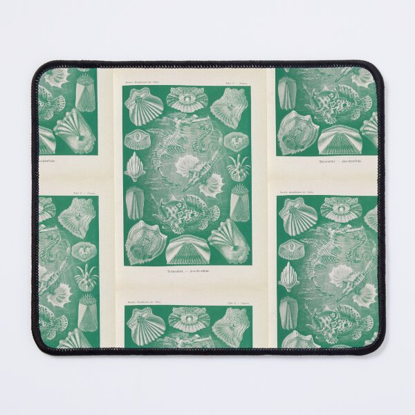 Item preview, Teleostei. Knochenfische    Ernst Haeckel designed and sold by TeeARTHY.