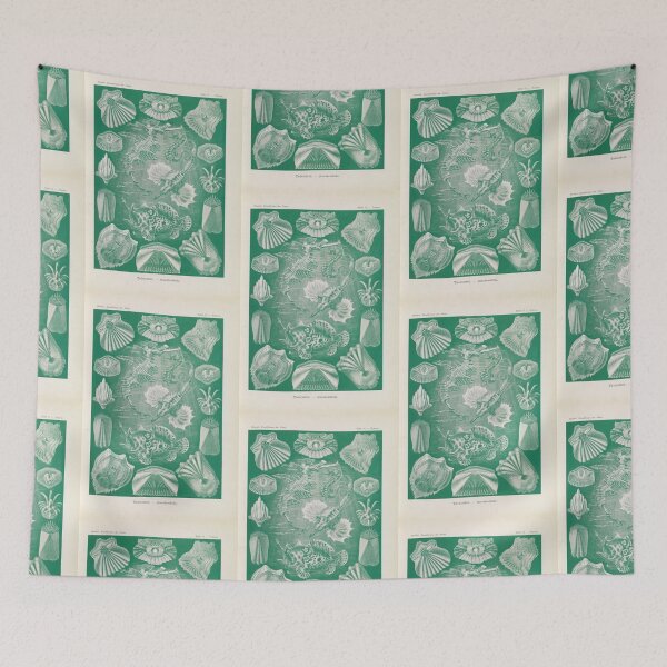 Item preview, Teleostei. Knochenfische    Ernst Haeckel designed and sold by TeeARTHY.