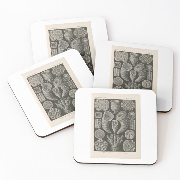 Item preview, Tetracoralla Bierstrahlige Sternkorallen   Ernst Haeckel designed and sold by TeeARTHY.
