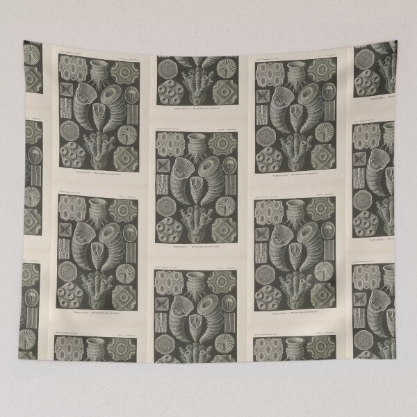 Item preview, Tetracoralla Bierstrahlige Sternkorallen   Ernst Haeckel designed and sold by TeeARTHY.