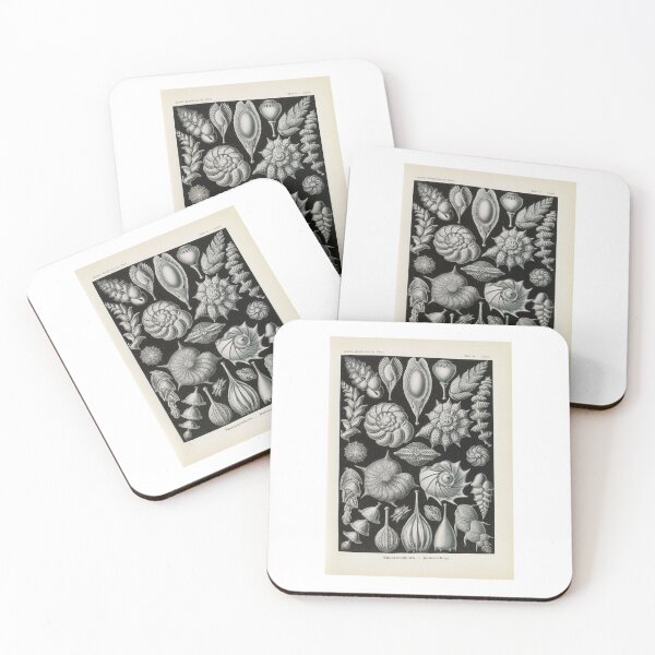 Item preview, Thalamophora Kammerlinge  Ernst Haeckel designed and sold by TeeARTHY.