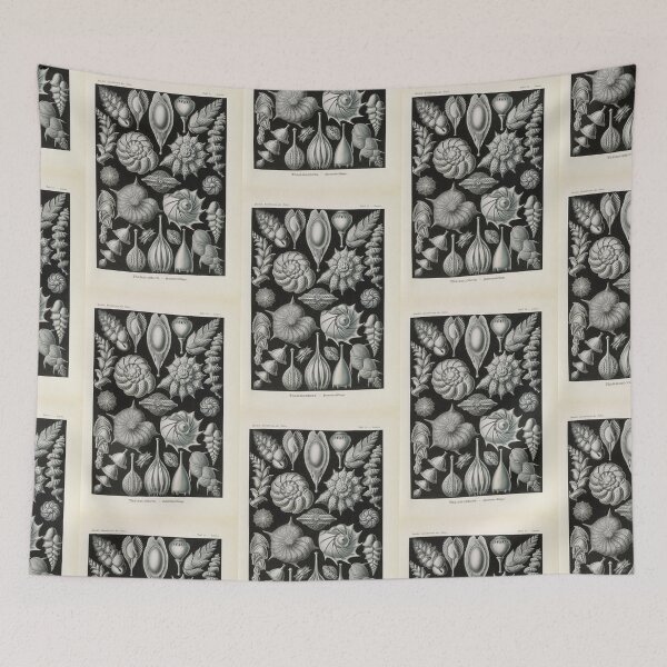 Item preview, Thalamophora Kammerlinge  Ernst Haeckel designed and sold by TeeARTHY.