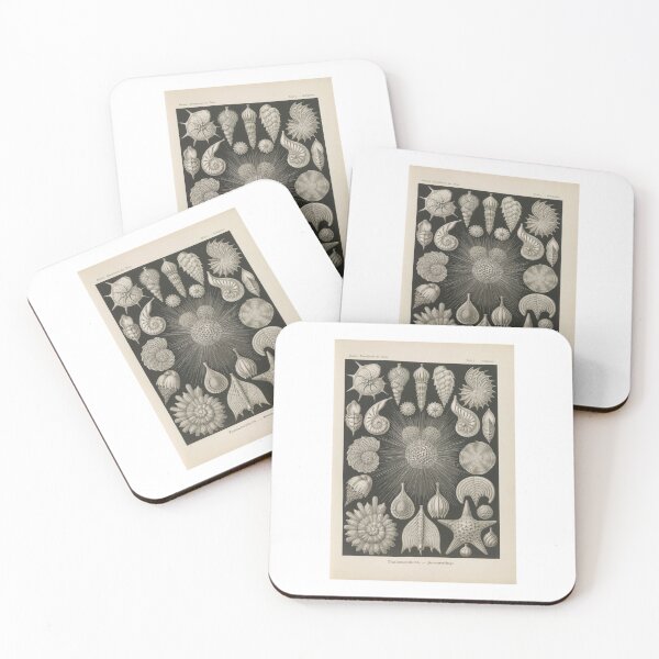 Item preview, Thalamophora  Kammerlinge Ernst Haeckel designed and sold by TeeARTHY.