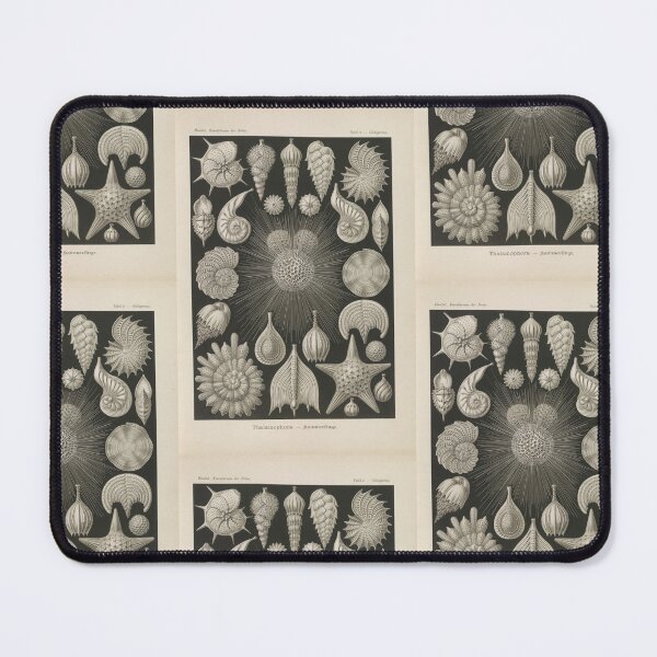 Item preview, Thalamophora Kammerlinge Ernst Haeckel designed and sold by TeeARTHY.