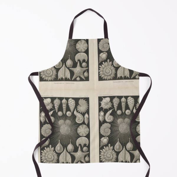 Item preview, Thalamophora Kammerlinge Ernst Haeckel designed and sold by TeeARTHY.