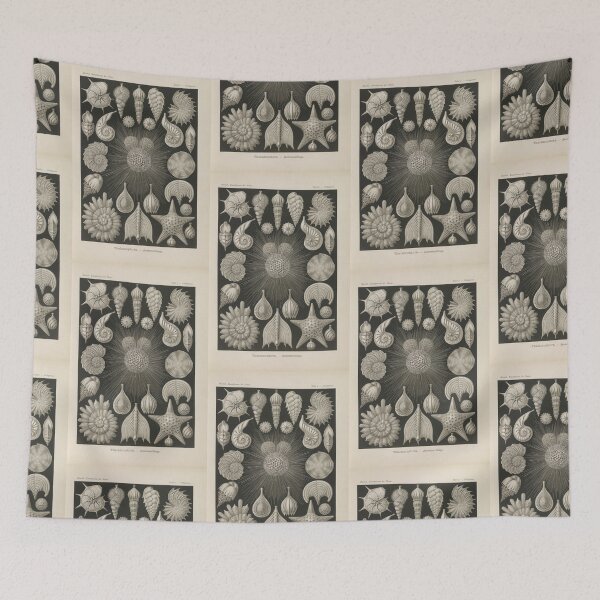 Item preview, Thalamophora  Kammerlinge Ernst Haeckel designed and sold by TeeARTHY.