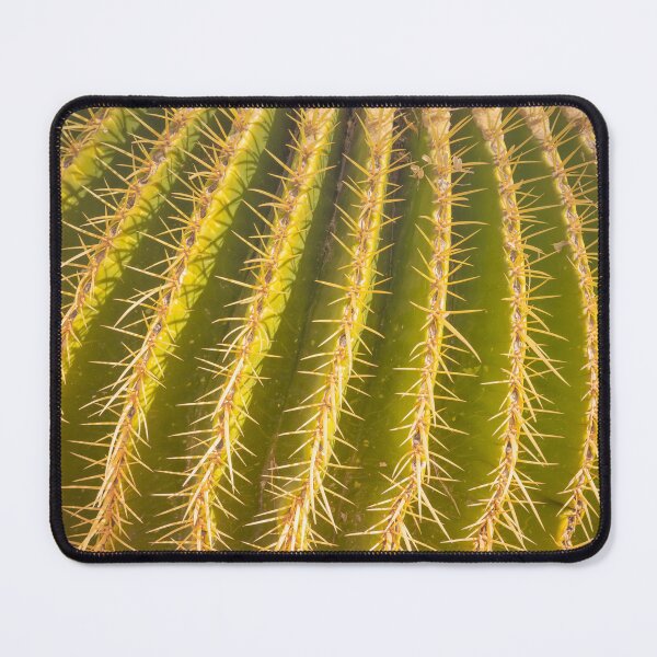 Item preview, Spines radiate across the surface of a green ribbed cactus creating a striking pattern designed and sold by EyezWatchin.