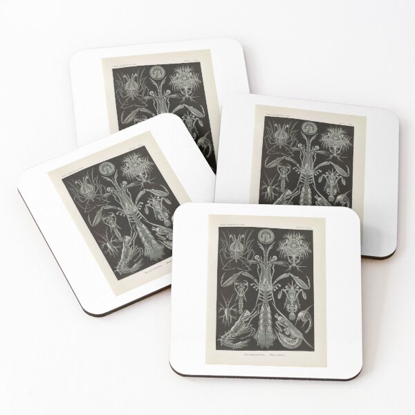 Item preview, Thoracostraca Panzerkrebse Ernst Haeckel designed and sold by TeeARTHY.