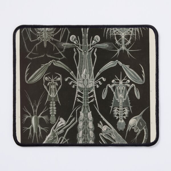 Item preview, Thoracostraca Panzerkrebse Ernst Haeckel designed and sold by TeeARTHY.