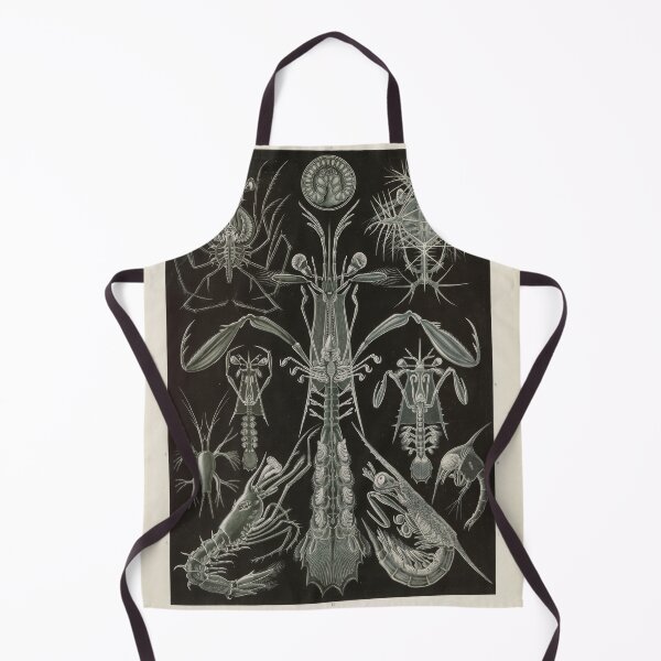 Item preview, Thoracostraca Panzerkrebse Ernst Haeckel designed and sold by TeeARTHY.