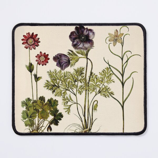 Item preview, Botanica Nostalgia II plant botanical study designed and sold by Glimmersmith.
